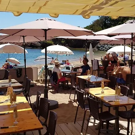 Apartment Les Oliviers De L'esterel *