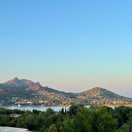 Les Oliviers De L'esterel * Saint-Raphael (Var)
