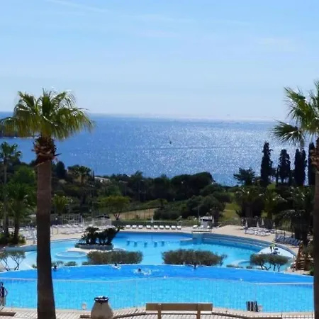 Les Oliviers De L'esterel *